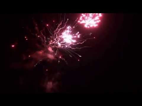 Ziua Comunei Moldoveni 2013 -10