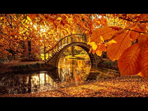 Beautiful Relaxing Music & Autumn Scenery 🍂 Music For Healing, Stress Relief & Calm Nervous
