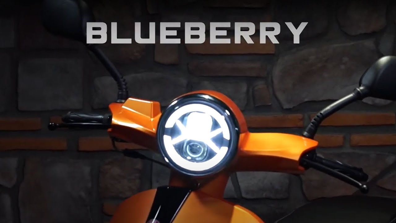 BLUEBERRY PRO