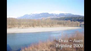 preview picture of video 'Frühling an der Drau'