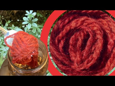 How to Dye with Common Bedstraw I Cleavers I Galium aparine ​⁠@WildcraftDyeing