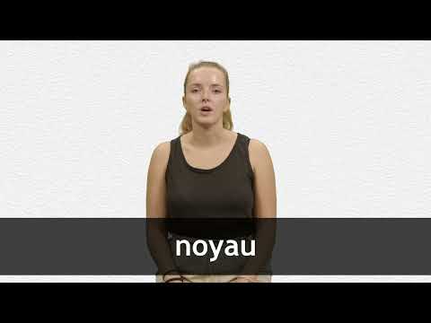English Translation of “NOYAU” Collins FrenchEnglish Dictionary