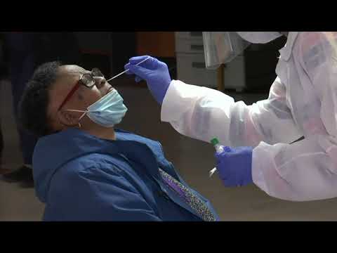 Employees Vaccinated