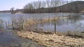 Gary Engberg Outdoors Flooding at Crystal and Fish Lakes, Roxbury, wi  3 27 09