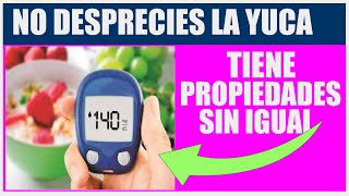 UNA YUCA PARECE INSIGNIFICANTE, propiedades de la yuca en tu salud