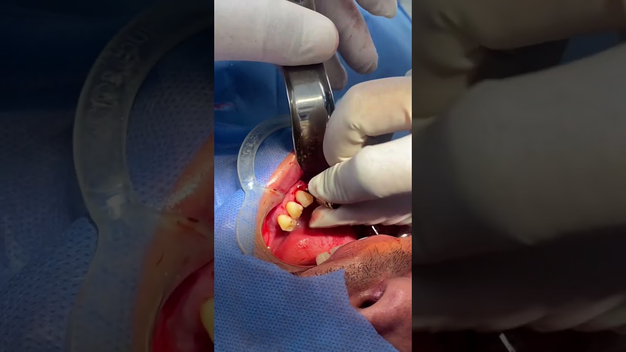 Luisa Fernanda Gomez Reyes-129