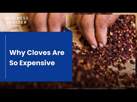 Why Cloves Are So Expensive | So Expensive