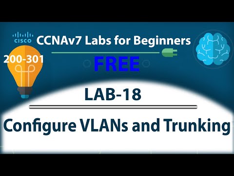 Configure VLANs and Trunking - Lab18 | Free CCNA 200-301 Lab Course