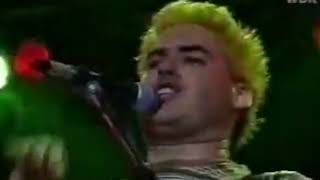 NOFX VINCENT