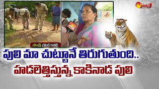 Kakinada Tiger Wandering in Anakapalle Dist | Bengal Tiger Tension : Sakshi TV