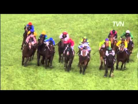 Culminate - Tristarc Stakes - Caulfield 2010