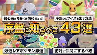 【ぽこあポケモン】初心者が知るべき攻略情報43選。爆速で厳選、絶対仲間にするべきポケモン、生息地、環境レベル（すみごこち）、イーブイ、ヤドン