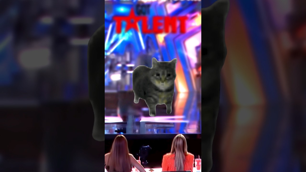 oo ee a e a Cat Green Screen #cat #meme #catviral