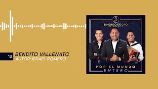 Bendito Vallenato Lyrics  Translation