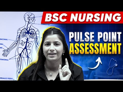 9 Pulse Points Assessment on the Body Nursing - Anatomy and Physiology | Bsc Nursing Preparation