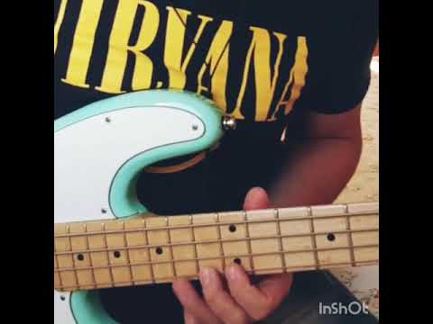 NZaganin Precision Telecaster