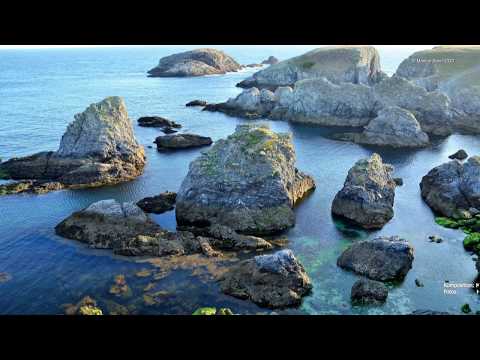 Day dreamer ...       ( Yamaha Genos 2.0 )