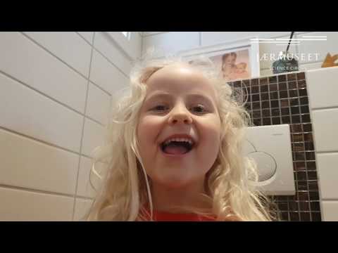 DIY at home: Handover of toiletpaper