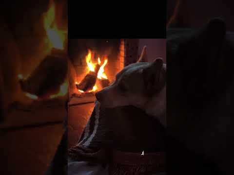 Todo vale al final. #canelones #jaureguiberry