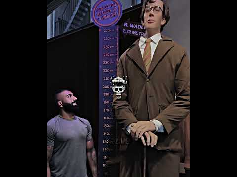 The Tallest Human 🤯💀! | #edit #phonk #funk #fyp | Ritmo Zelda Slowed