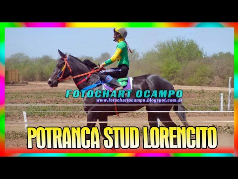 POTRANCA STUD LORENCITO - Campo Largo - Chaco 08/10/2023