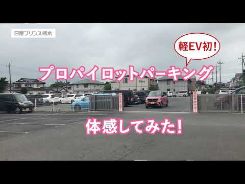 「非常に恥ずかしい」:電気自動車について専門家が議論