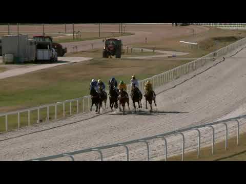 2021.09.19. 05. futam - SARLÓSPUSZTAI HENDIKEP (V.o.) (szintetikus pálya)