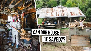 Cleanup Begins! 😱 Can We Gut & Renovate This ABANDONED HOARDER HOUSE??