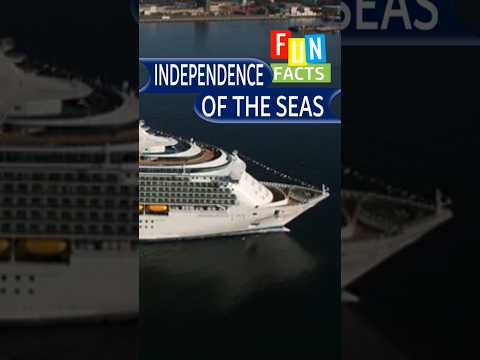 Thumbnail for I Wish I Knew This Before I Cruised on Independence of the Seas. #holiday #cruise #travel