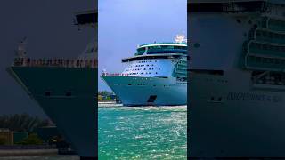 Independence of the Seas 🛳️ #like #share #comment #subscribe #cruiseship #cruise #vacation #shorts