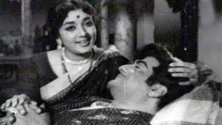Dhanama Daivama Telugu Movie Songs - Nee Madhi Cha