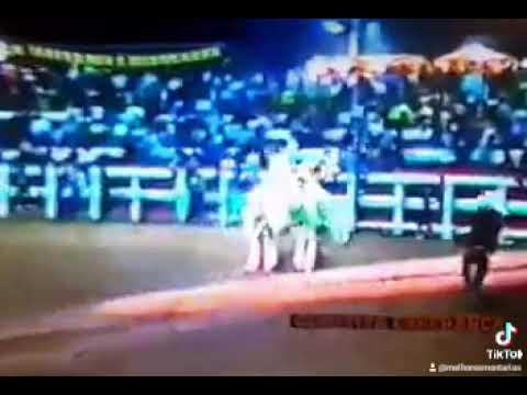 CARLOS ROBERTO MARIANO X MALBORO - RODEIO DE PAULO DE FARIA 1992