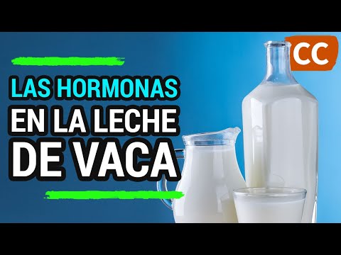 , title : 'Las Hormonas en la Leche de Vaca y Lácteos | Ciencia de la Comida'