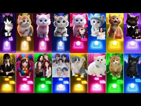 📹 ALL CUTE CATS PT.5 - IMAGINE DRAGONS ENEMY - JISOO FLOWER   SHAKIRA WAKA WAKA - LISA MONEY