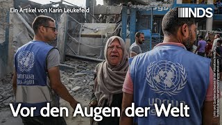 Video-Thumbnail von YouTube