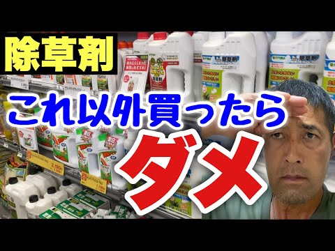 クローズ アップ、一握り、トウモロコシ、食事、手、女性