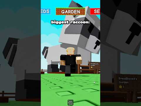 Mutating the biggest raccoon in Grow A Garden #growagarden #roblox