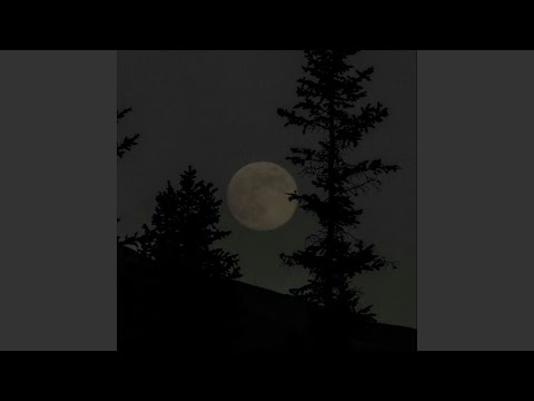 Bemaste (Live Session)