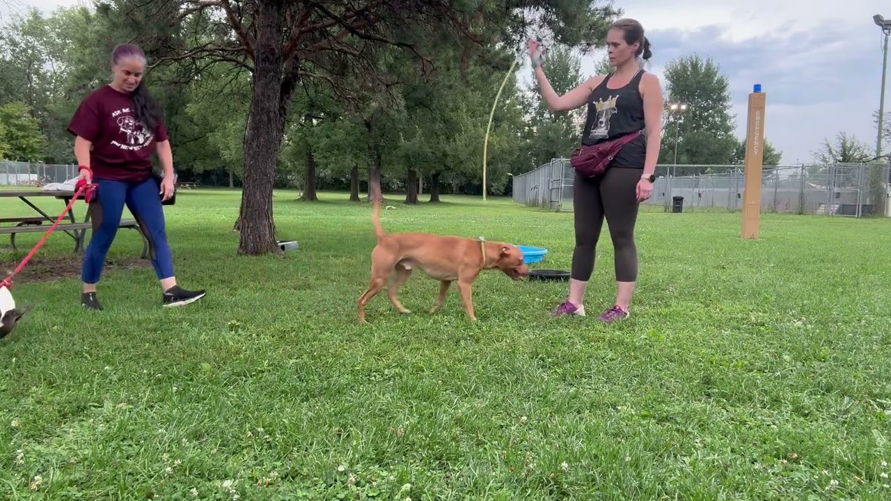 Craig's Leash Test