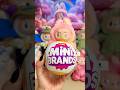 LABUBU MINI BRANDS FASHION Minibrands Labubu Labububigintoenergy Popmart Popmartblindbox