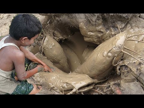 Big Catfish Hunting By Deep Hole ll Amazing Fishing in the Natural Beautiful Field