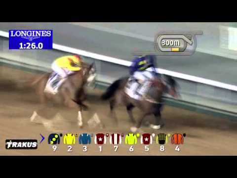 Dubai World Cup Carnival 2015 Week #1