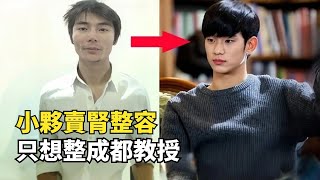 Re: [新聞] 快訊／金秀賢照常演出高雄櫻花季！　主