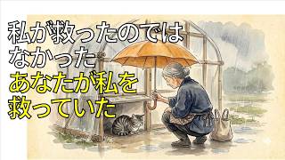 🐱【朗読】一人きりの私のもとにやって来た保護猫「私があなたを救ったのではなかったのね」