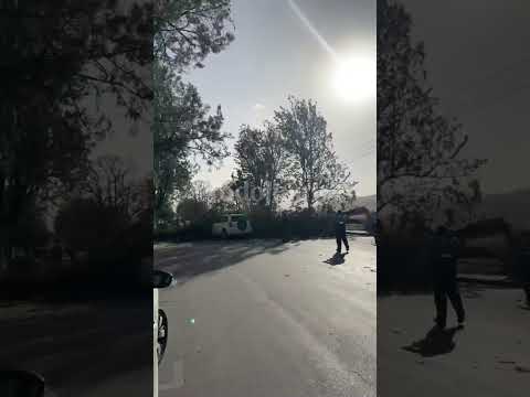 Un árbol cayó sobre un auto en Av. Santibáñez