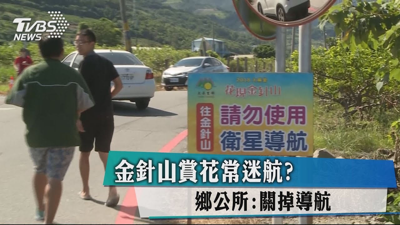 金針山賞花常迷航？　鄉公所：關掉導航