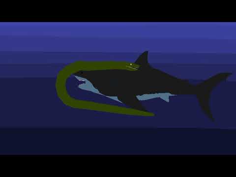 Megalodon Vs Titanoboa