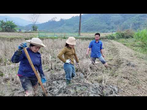 Engineer CHU helps Mrs. Thuy. Duyen's behavior is really strange.