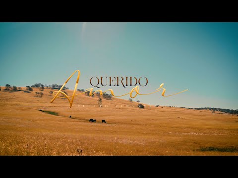Querido Amor - Efecto Elegante (Video Oficial)