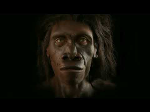 A ORIGEM - Existência de Deus , Dualidade , A Força Motriz do Universo -  DOCUMENTÁRIO